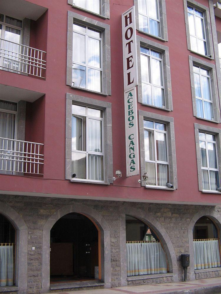 Los Acebos Cangas Onís Buitenkant foto
